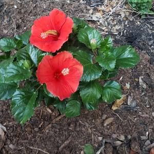 Meet your Posher, Aparna